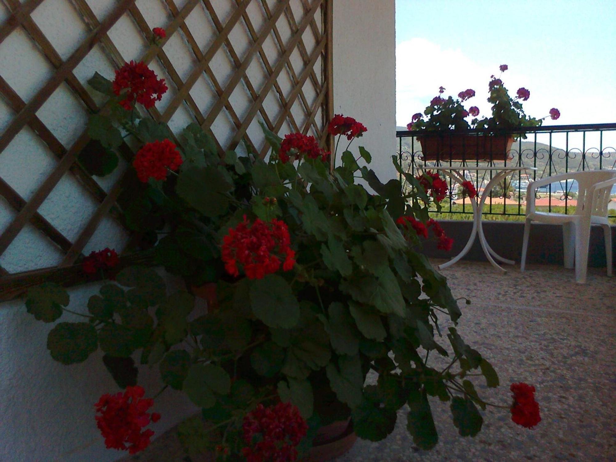 El Capitan Hotel Porto Koufo Room photo